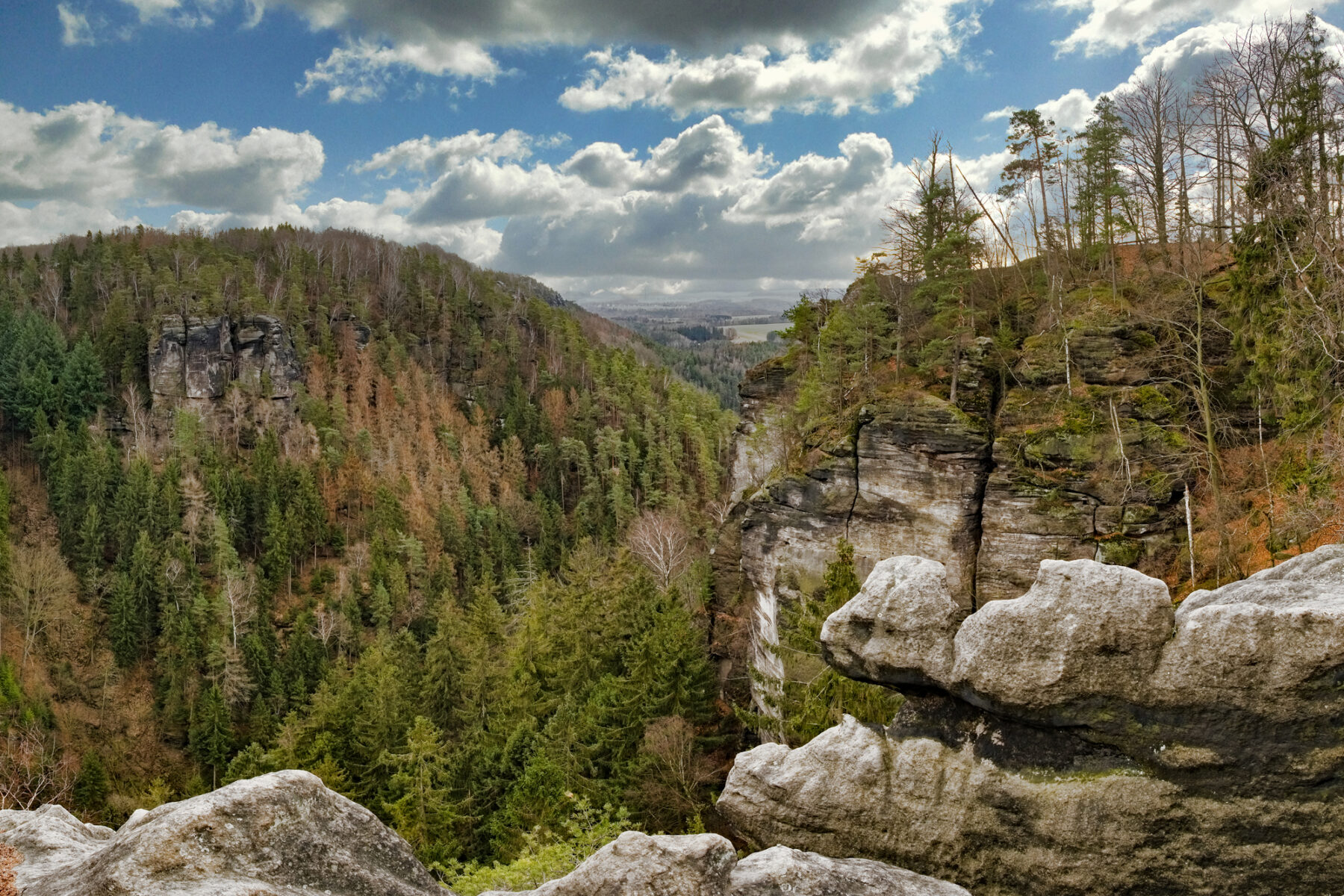 Weit hinten, der Zschirnstein.